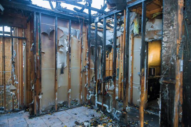 Professional Odor Removal technician working in Tarkio, MO